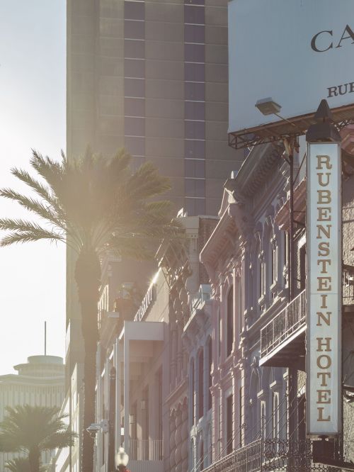 A cityscape with palm trees, a tall building, and the Rubenstein Hotel sign on the right side of the street.