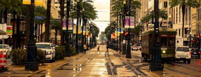 A city street scene with a streetcar, palm trees, and wet pavement reflecting lights, suggesting a tropical urban environment.